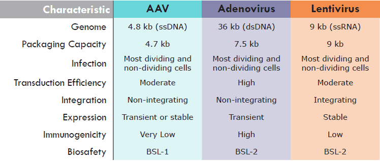 Viral and Non-viral Vectors  Lentiviral, Adenoviral & AAV